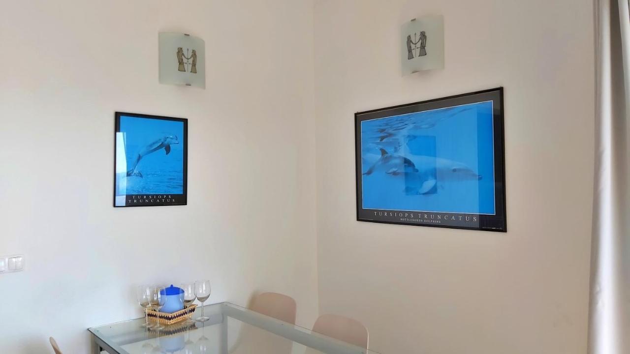 Apartments Borak Omiš Dış mekan fotoğraf